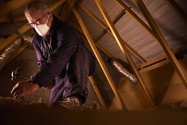 Best Residential Insulation in South Barrington, IL